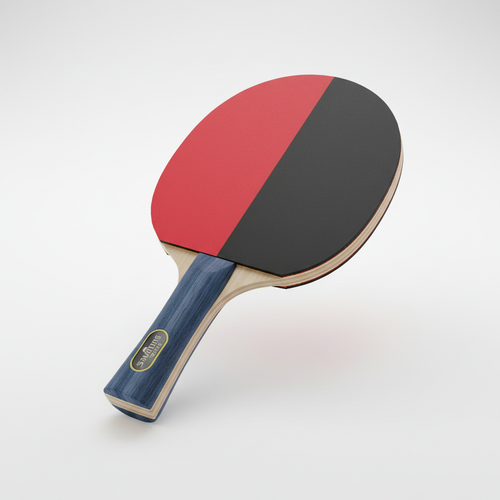 Ping Pong Paddle